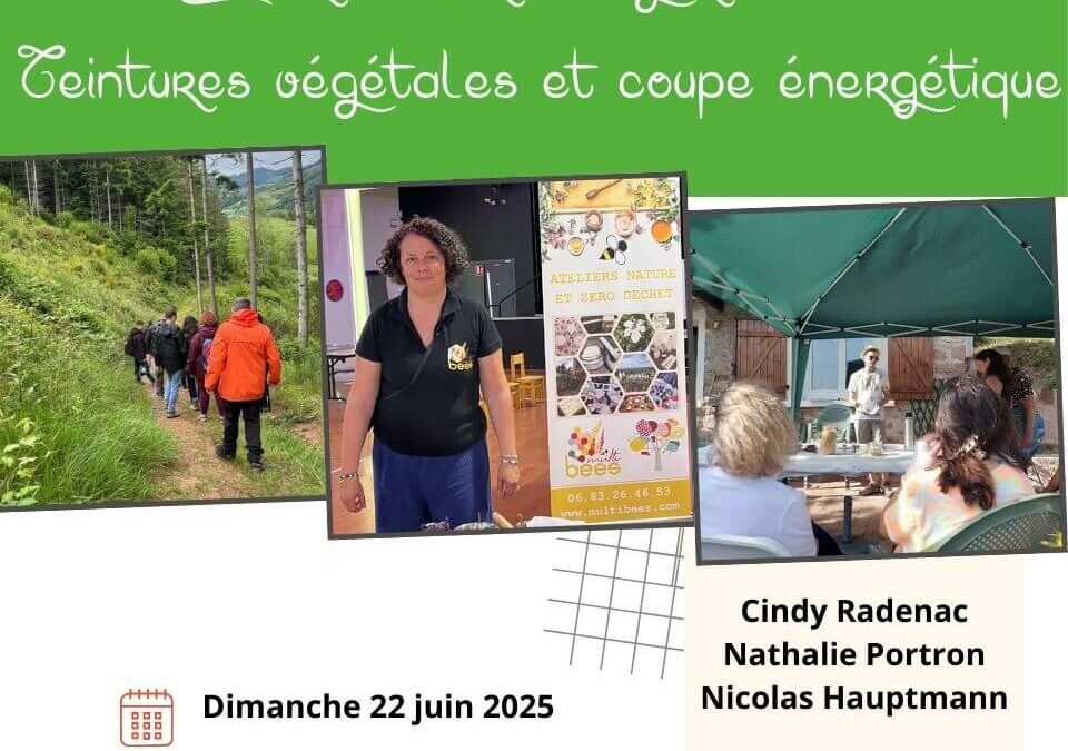Journée bien-être 22 juin