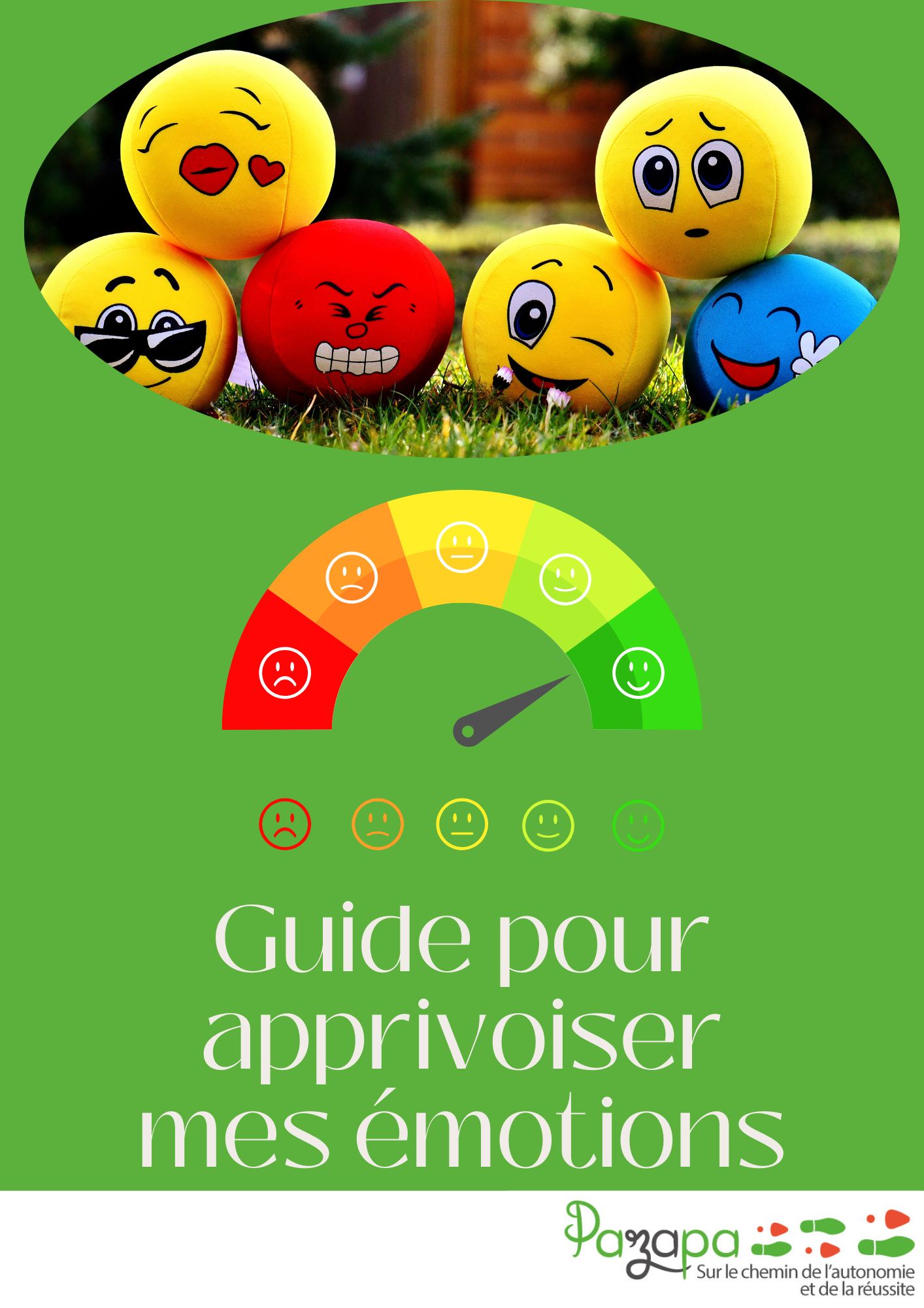 Guide pour apprivoiser ses émotions - Nathalie Portron, psychopédagogie positive, 