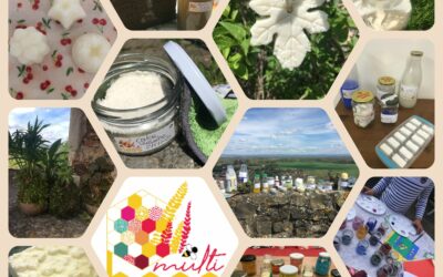 Mes derniers ateliers nature et zéro déchet en images