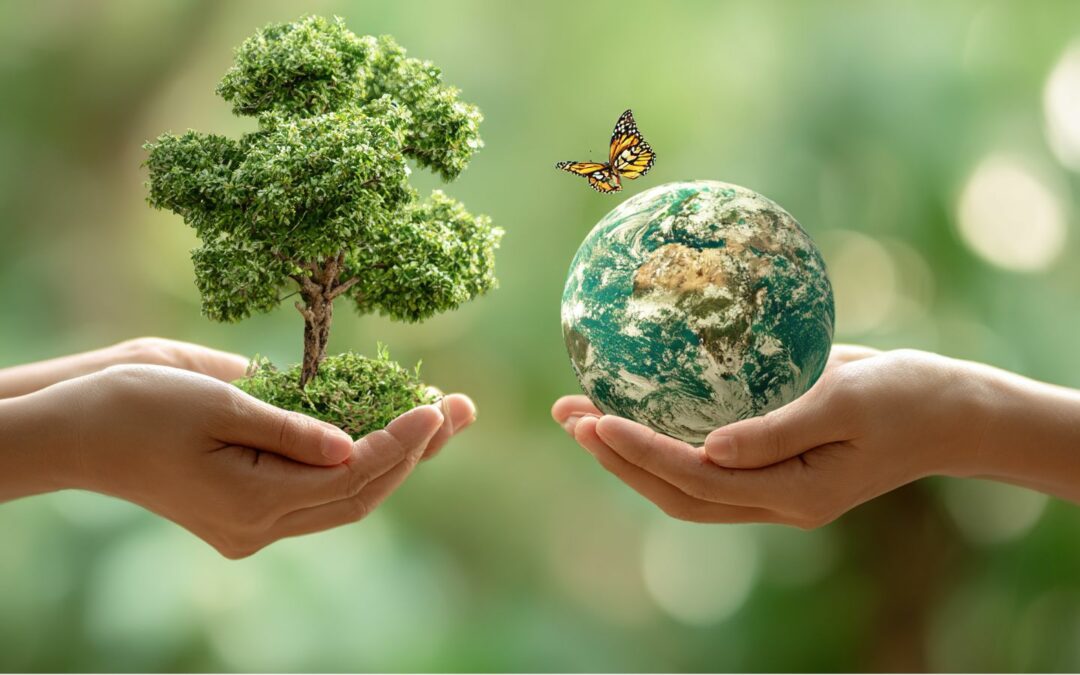 Un impact positif pour la planète